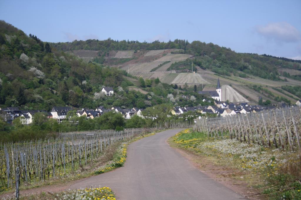 Weingut Goeres Ξενοδοχείο Briedel Εξωτερικό φωτογραφία