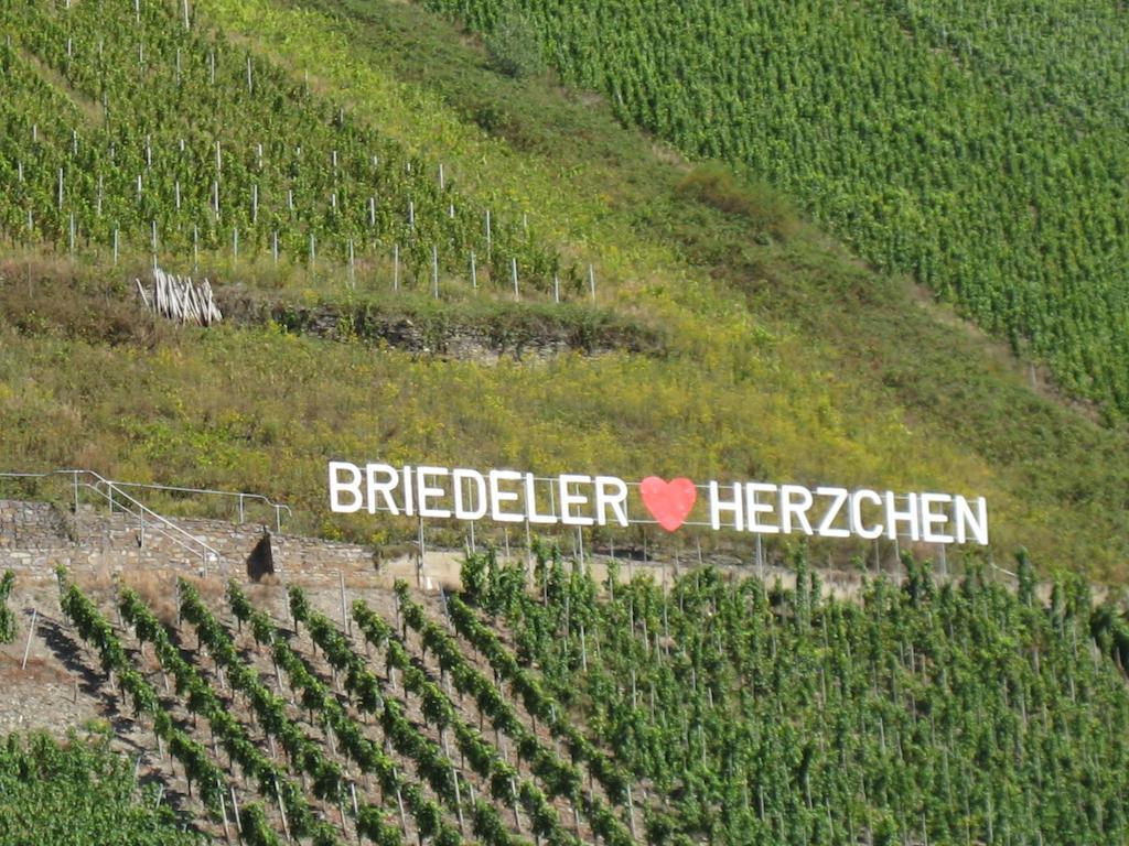 Weingut Goeres Ξενοδοχείο Briedel Δωμάτιο φωτογραφία