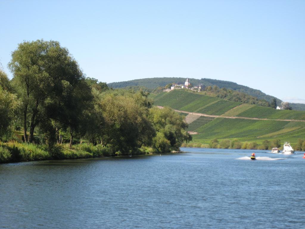 Weingut Goeres Ξενοδοχείο Briedel Εξωτερικό φωτογραφία
