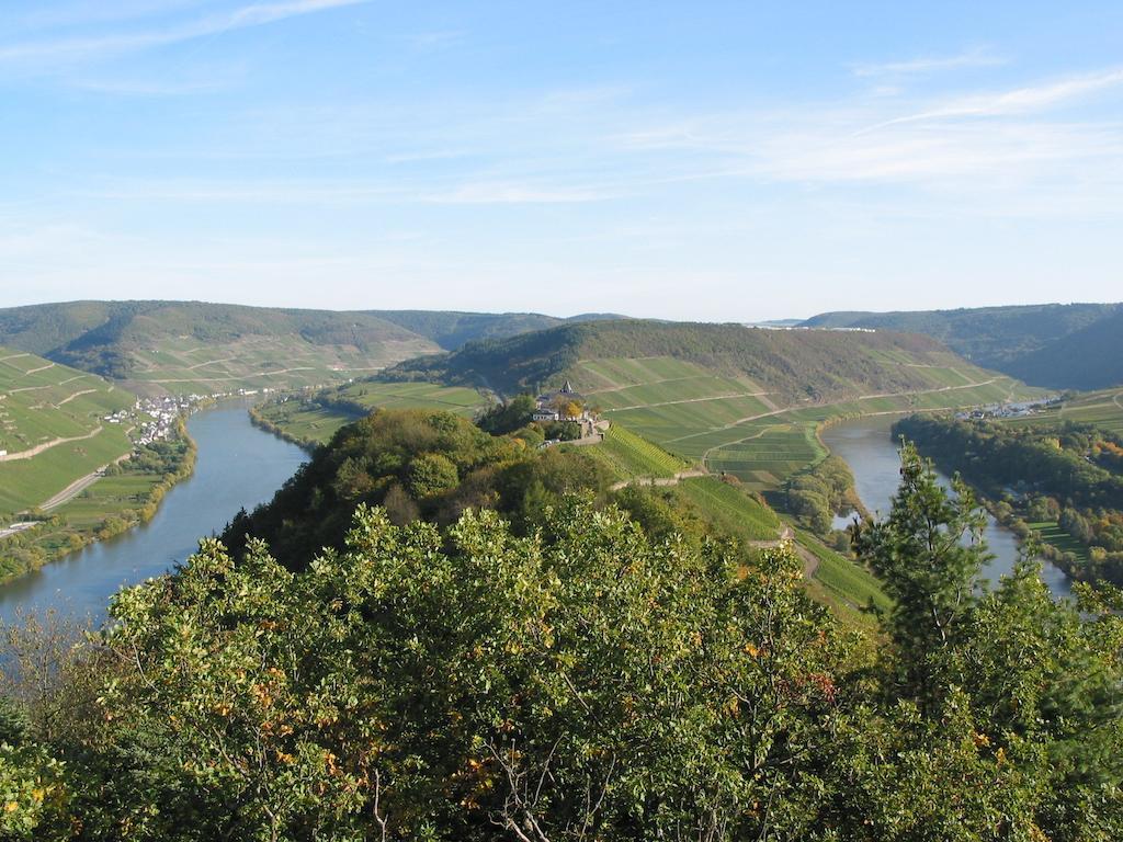 Weingut Goeres Ξενοδοχείο Briedel Εξωτερικό φωτογραφία
